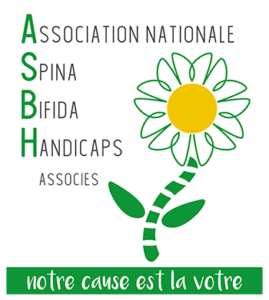 Qu'est-ce que le spina bifida ? - France Assos Santé